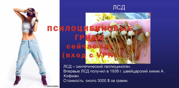 амф Аркадак