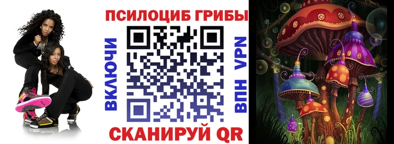 shop формула Валдай Галлюциногенные грибы Psilocybe